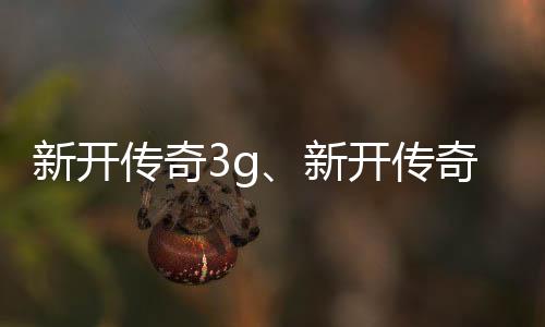新开传奇3g、新开传奇3g网站发布网